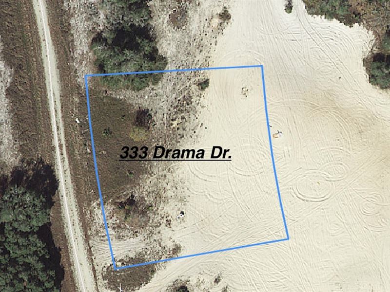 Big Lot for Big Dreams : Lake Placid : Highlands County : Florida