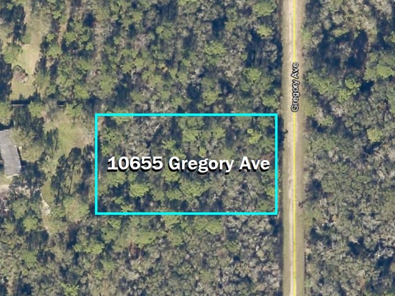 Country Living Close to The City : Hastings : Saint Johns County : Florida