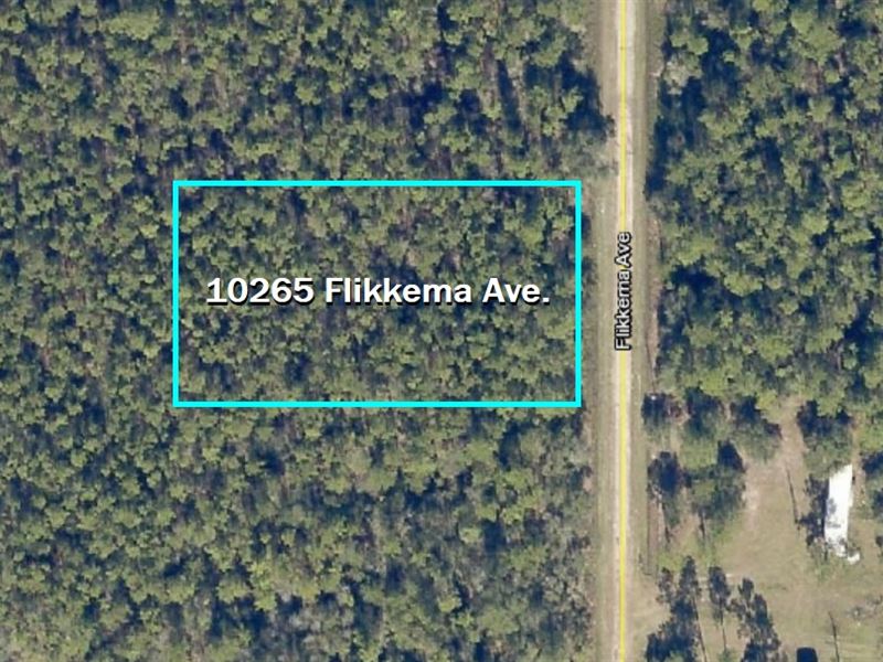 Dream Home in Flagler Estates : Hastings : Saint Johns County : Florida