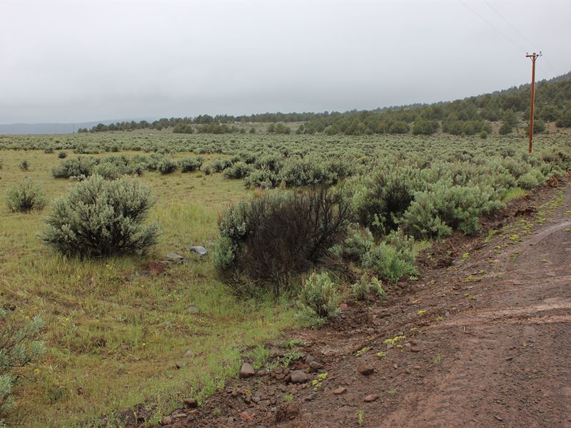 Fantastic Ag/Res Parcel, $389/Mo : Madeline : Lassen County : California