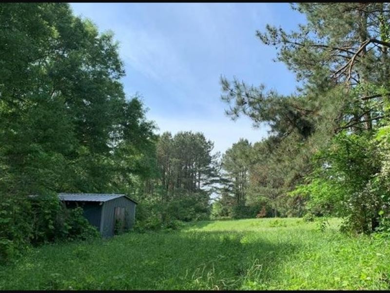 13.38 Acres In Smith County In Tayl Land for Sale in Taylorsville