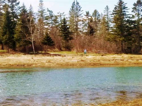 Recreational Land Lot in Maine : Jonesport : Washington County : Maine