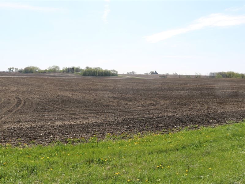 Farm Land For Sale Dodge Count, WI Land for Sale in Dodge