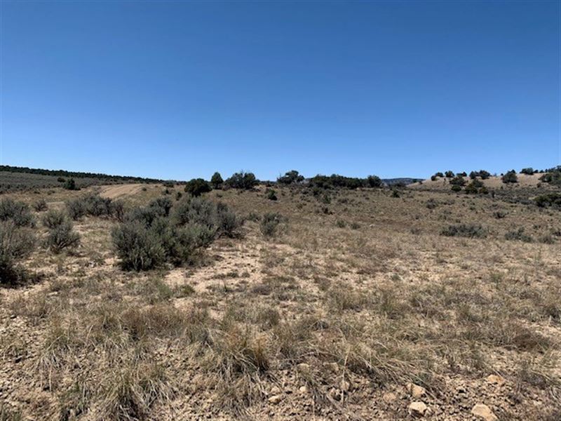 Northern New Mexico Land For Sale Land for Sale in Chama, Rio Arriba