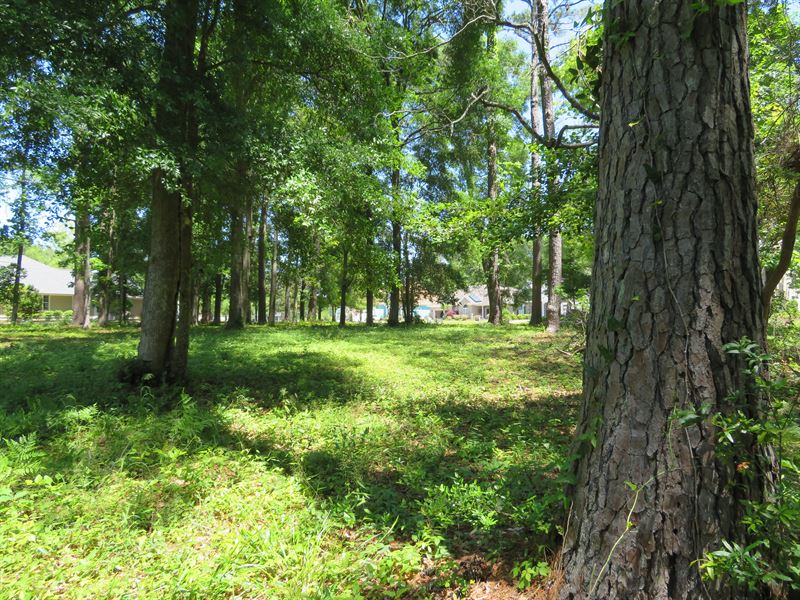 Golf Course Lot at Sunset Beach : Sunset Beach : Brunswick County : North Carolina