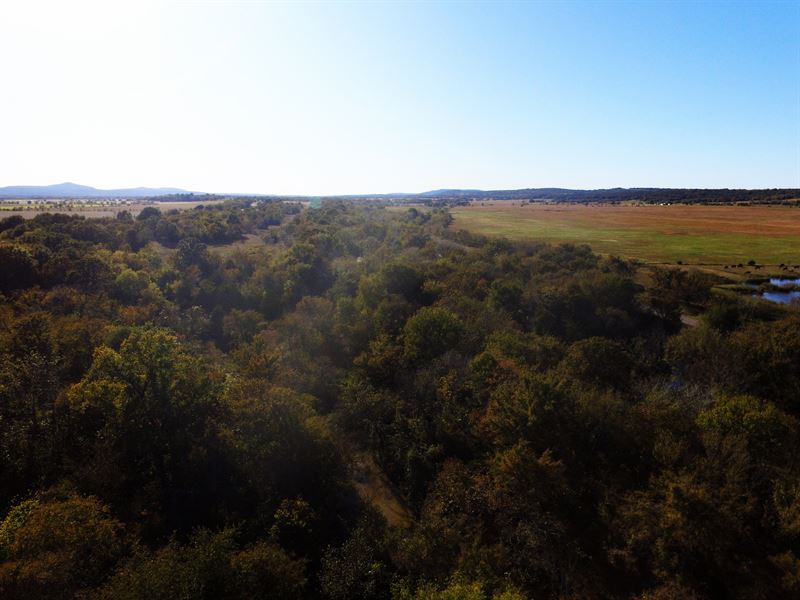 Drive-Up Access and Hunting : Porum : Muskogee County : Oklahoma