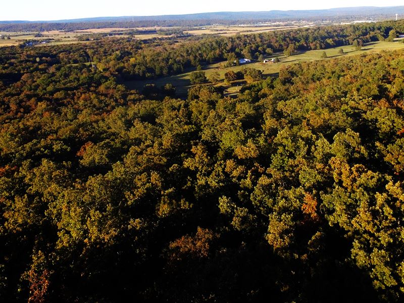 Hunting Paradise in Latimer County : Wilburton : Latimer County : Oklahoma