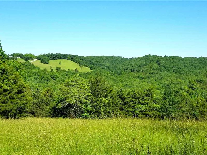 Almost 160 Acres of Hunting and re : Reeds Spring : Stone County : Missouri