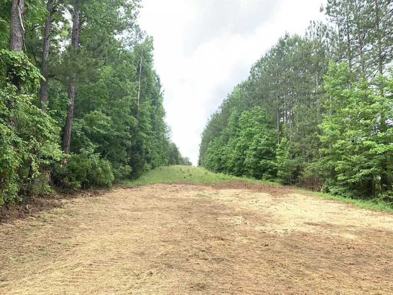 4 Acres on South Sandy Road : Duncanville : Tuscaloosa County : Alabama