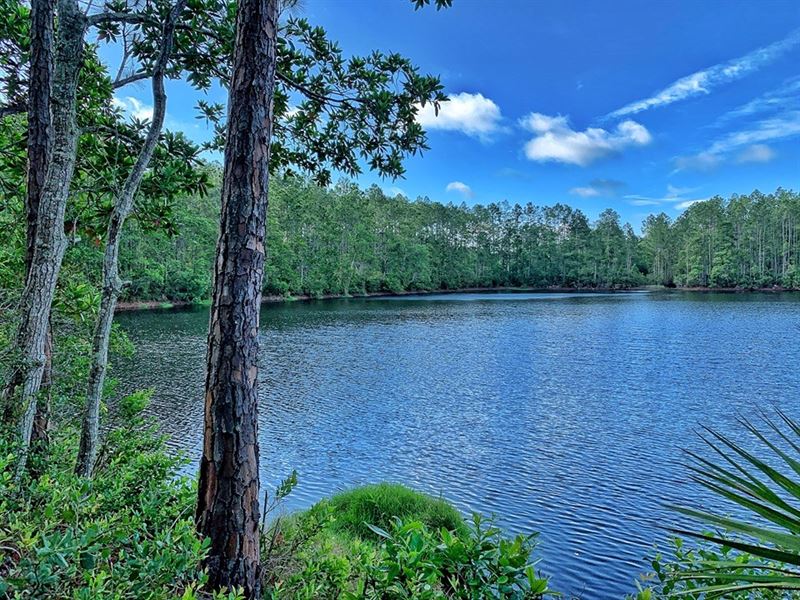 Recreational Tract, 521+ Acres, St : Saint Augustine : Saint Johns County : Florida