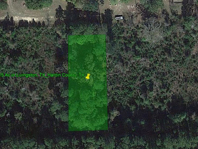 1.15 Acres in Livingston, TX : Livingston : Hardin County : Texas