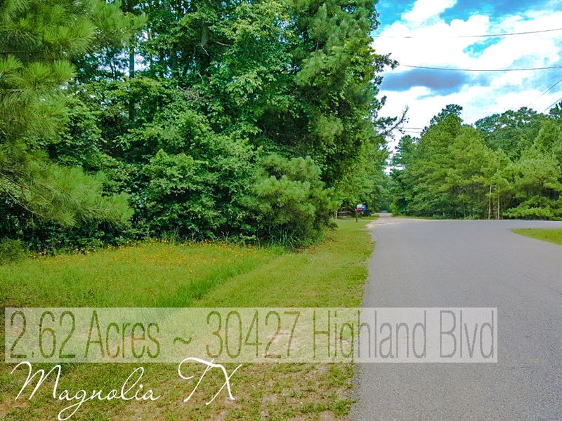 2.6 Acres Near The Woodlands TX : Magnolia : Montgomery County : Texas