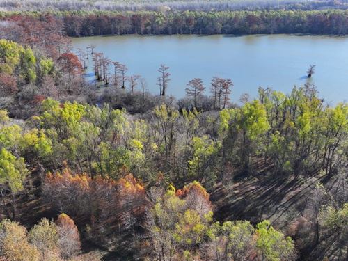 Brushy Lake Farm : Helena : Phillips County : Arkansas