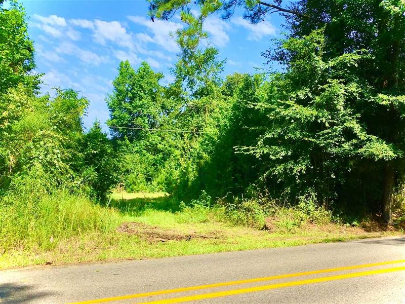 Highway 837 at Garland Gin Road Tr : Downsville : Ouachita Parish : Louisiana