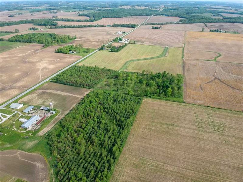 28.5 Wooded Acres Land For Sale Land for Sale in Roann, Wabash County