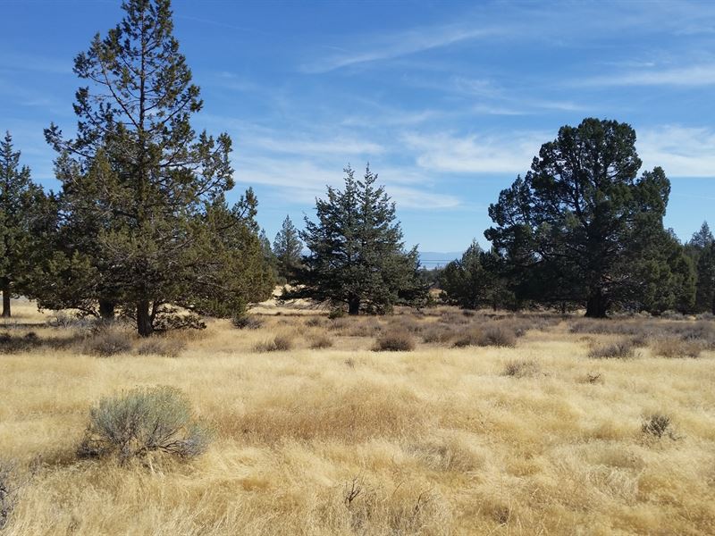 Over 23 Acres Beautiful Modoc : Canby : Modoc County : California