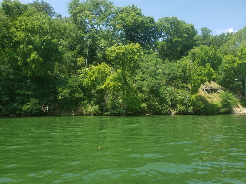 Cherokee Lake Front, Main Channel : Mooresburg : Hawkins County : Tennessee