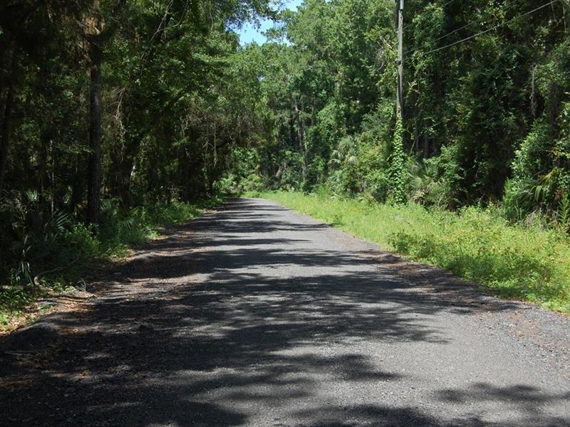 95 Acres in Steinhatchee Land for Sale in Steinhatchee, Taylor County
