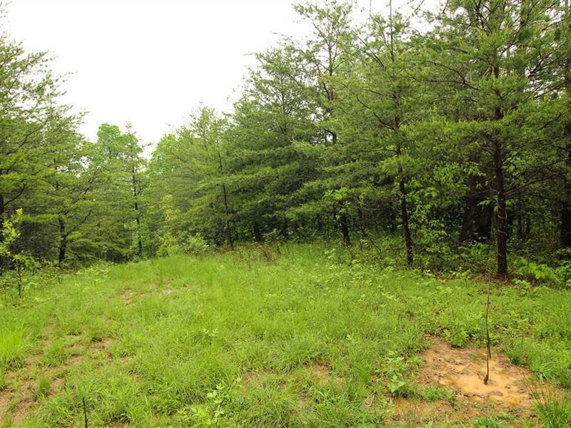 CR 64, 87 Acres : Willowood : Lawrence County : Ohio
