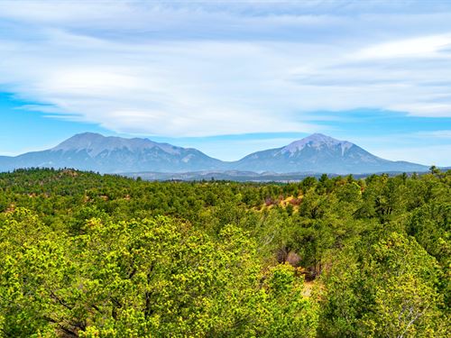 Vacant Land For Sale In Colorado - Facebook