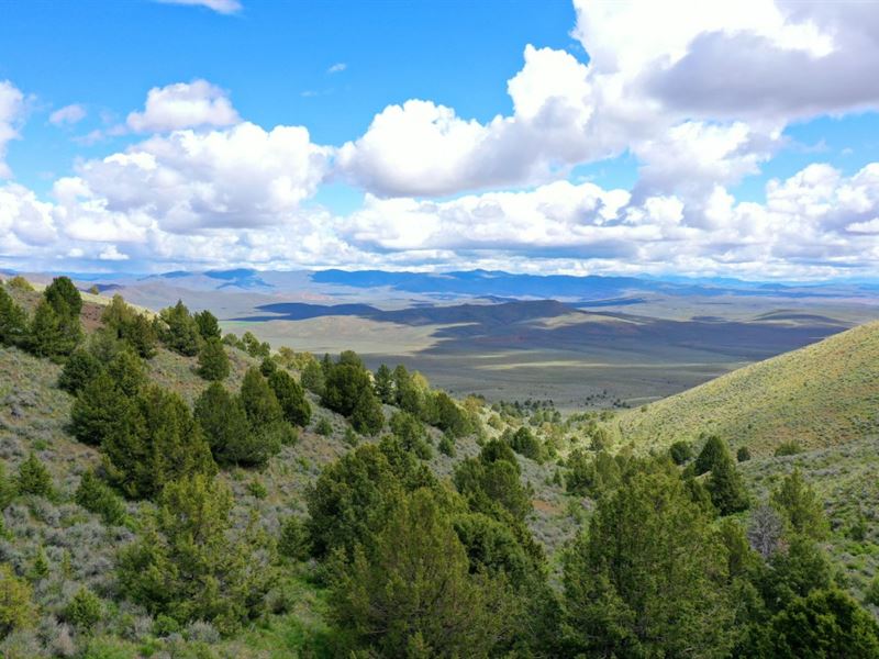 Oregon Cattle Ranch : Brogan : Malheur County : Oregon