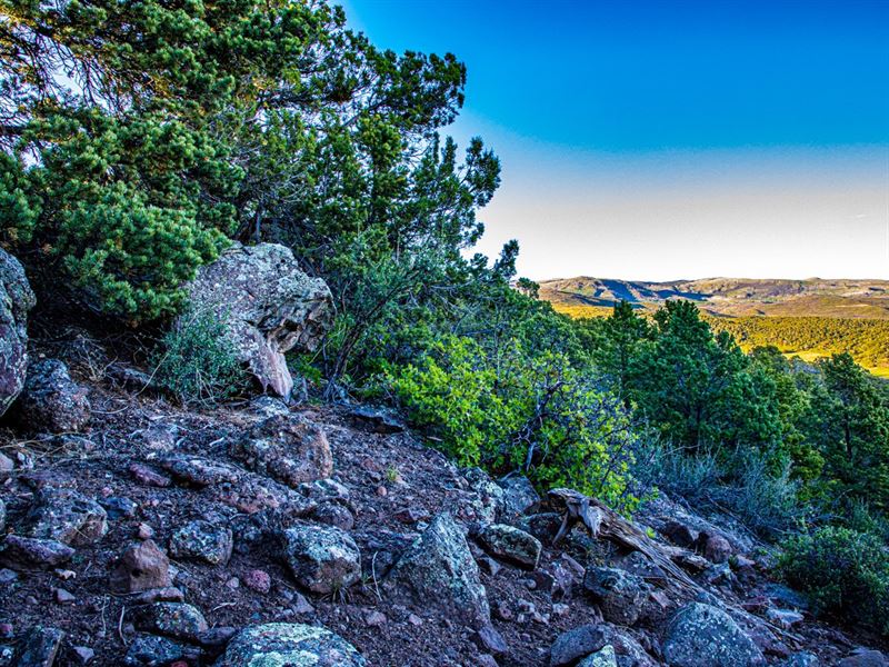 Land Near Grand Mesa For Sale Land for Sale in Cedaredge, Delta County, Colorado 242299