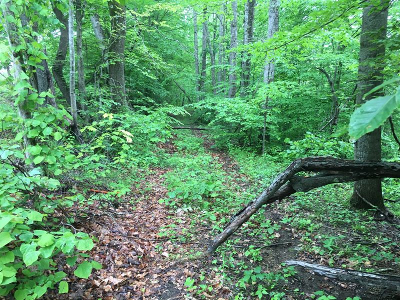 Land For Sale in Franklin County VA Land for Sale in Ferrum, Franklin