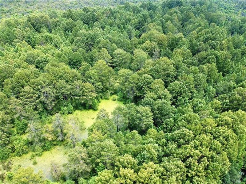Robinson Pond Property : Prattville : Autauga County : Alabama