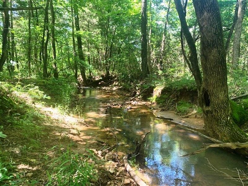 Ozarks Arkansas Hunting Land Land for Sale in Smithville, Sharp