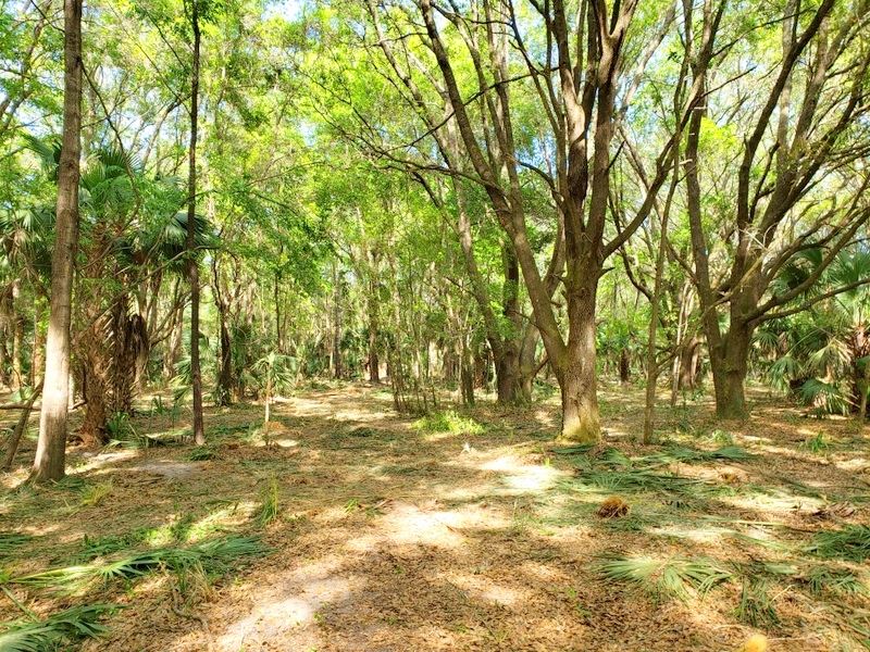 Orange Lake Acres, 10 Acres Land for Sale in Citra, Marion County