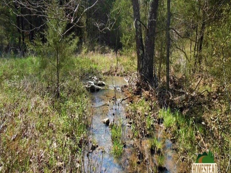 Wonderful Parcel with Creek, Spring : Ash Flat : Sharp County : Arkansas