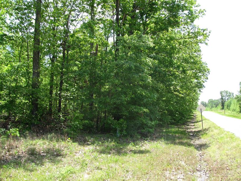 3 Acres Land Tn, Private, Wooded Land for Sale in Morris Chapel