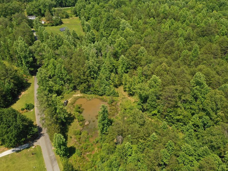 Wooded Acreage with Pond : Six Mile : Pickens County : South Carolina