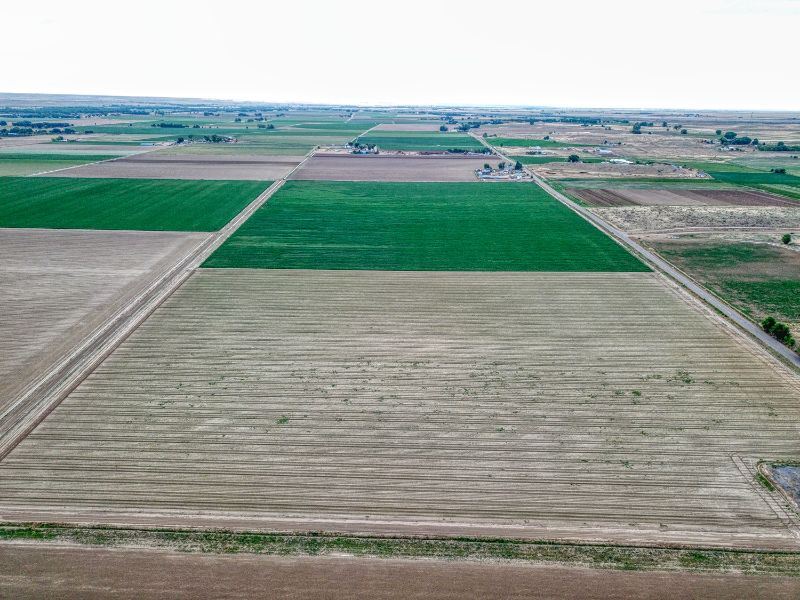 Avondale Irrigated Farm Ground : Avondale : Pueblo County : Colorado