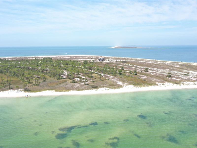 Dog Island Bayfront 20 Acres Land for Sale in Carrabelle, Franklin