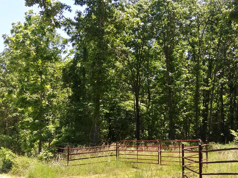 Southern Missouri Land for Sale : West Plains : Howell County : Missouri