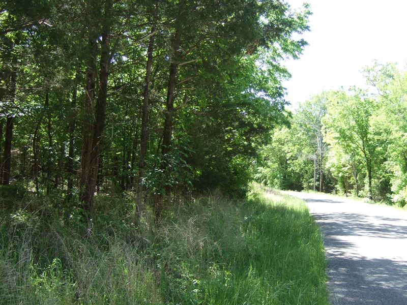 Arkansas Land for Sale : Mountain Home : Baxter County : Arkansas