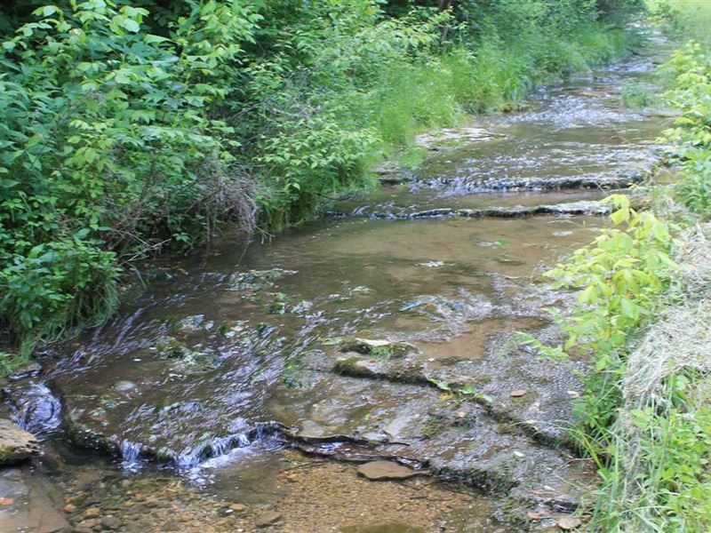 33.21 Acres in Jackson County, Ten Land for Sale in Whitleyville