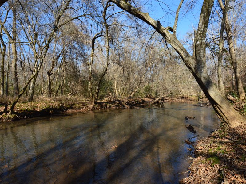Beautiful Hunting Tract with Creek : Lafayette : Chambers County : Alabama