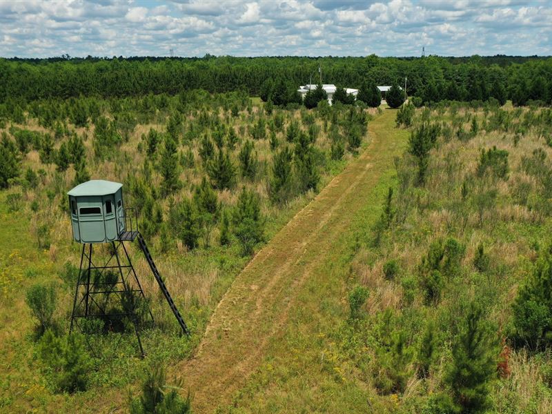 Waco Hunting Camp Land for Sale in Sandersville, Washington County