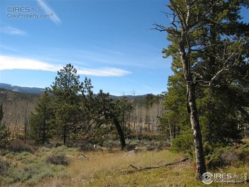 Walk to Lake From This Mountain Lot : Red Feather Lakes : Larimer County : Colorado