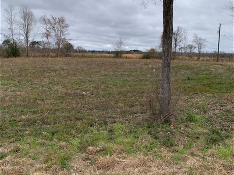 1 Hour From Baton Rouge : Centreville : Wilkinson County : Mississippi