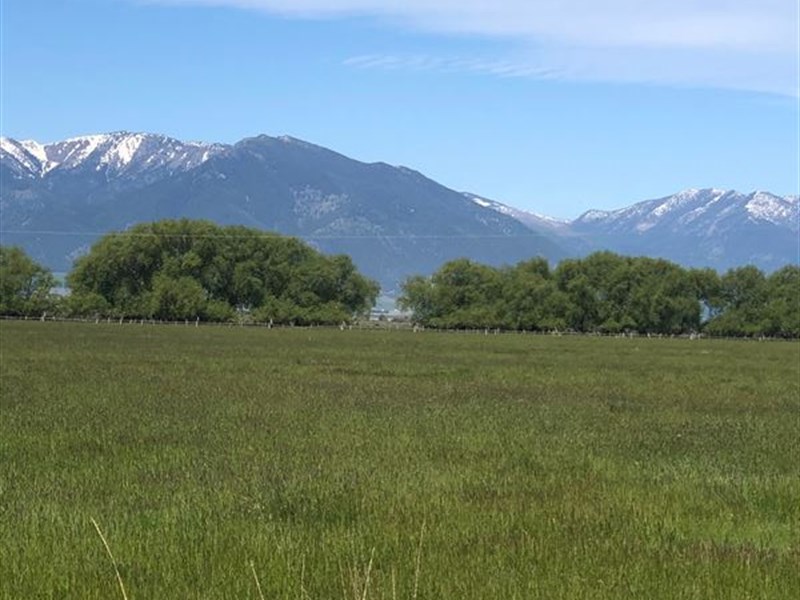 Baker County Meadow Ranch : Baker City : Baker County : Oregon