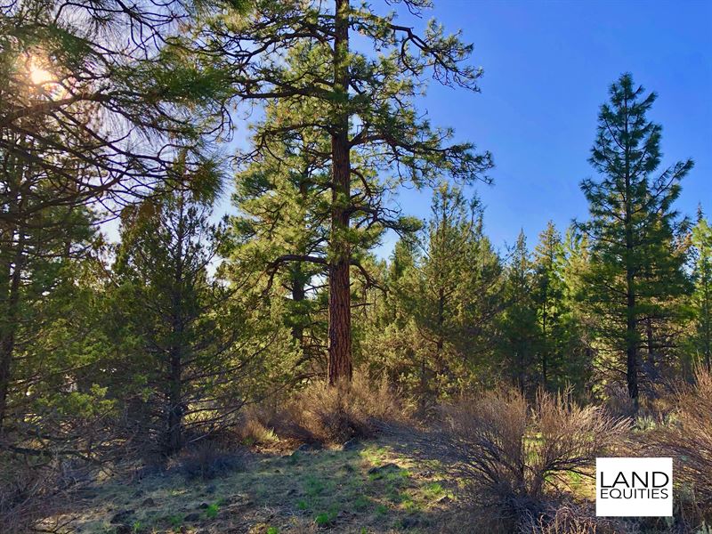 Beautiful Property, Great Location : Bonanza : Klamath County : Oregon