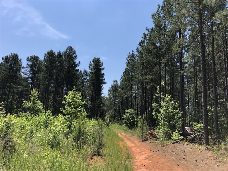 235.51 Acres in Sharon, SC Land for Sale in Sharon, York County