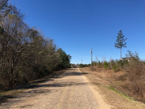 1.145 Acres In Npsd : Summit : Pike County : Mississippi