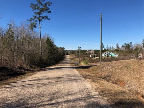 1.07 Acres In Npsd : Summit : Pike County : Mississippi