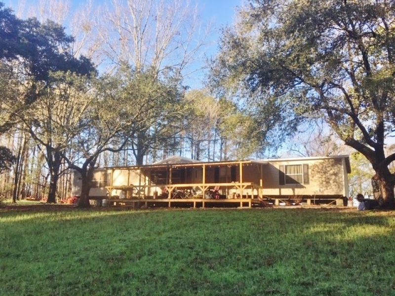 Hunting At Its Best : Port Gibson : Claiborne County : Mississippi