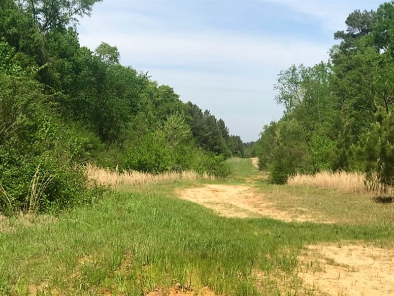 196 Acres in Rankin County in Pelah : Pelahatchie : Rankin County : Mississippi