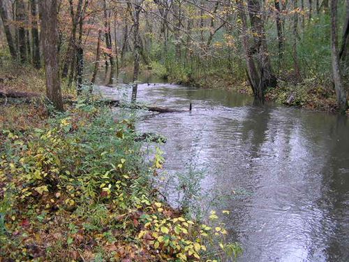 Year Round Creek No Restrictions : Palmer : Grundy County : Tennessee